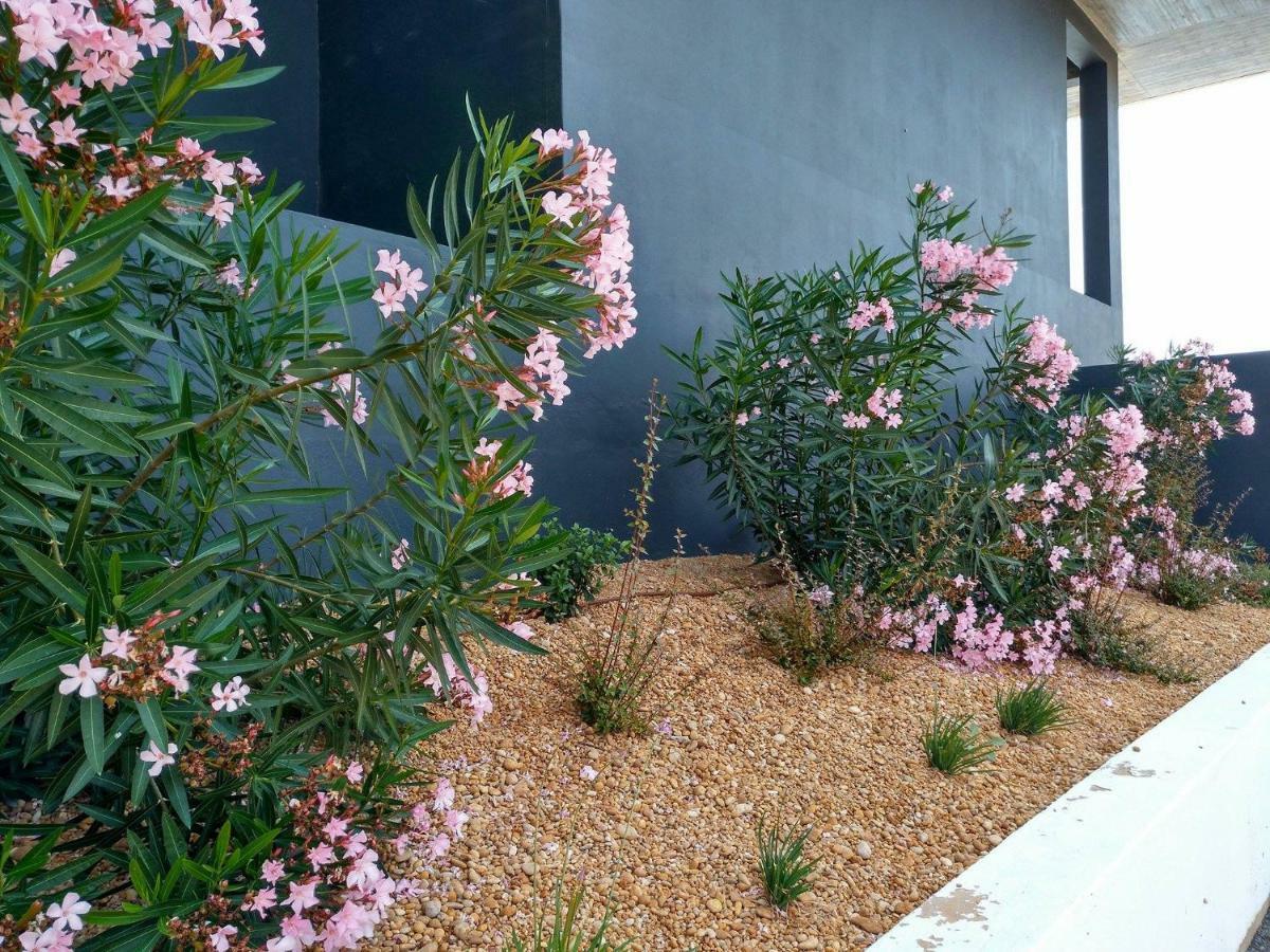 Apartamento Casa Sensa Albufeira Exterior foto